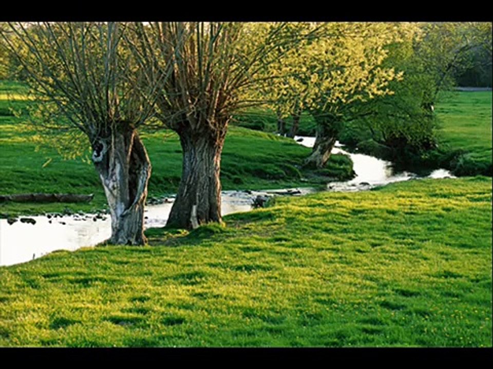 "Comme un boomerang"     Dani  &  Etienne Daho