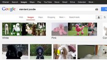 public domain images - how to google images search