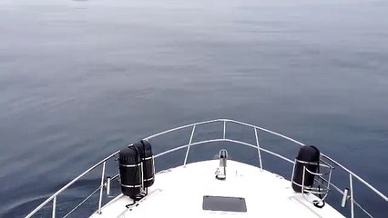 Boat trip from San Diego to Catalina Island