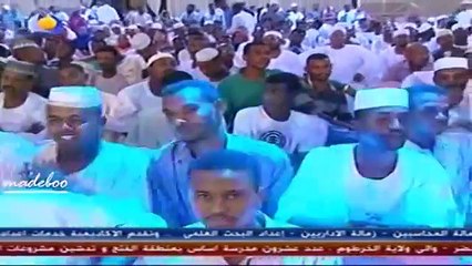 محمد النصري - النسايم - صالة مارينا