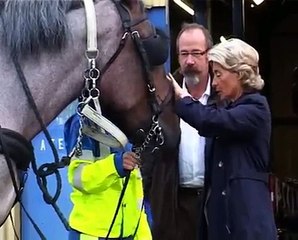 Collecte Hippomobile du Verre Usagé à Beauvais