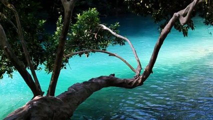 CASCADAS Y RÍOS, Chiapas; México.