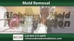 Mold Removal Mechanicsville, VA | Richmond Mold Remediation