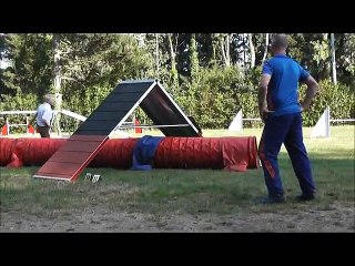 Sophie et Gin entrainement d'Agility du 29/07/2015