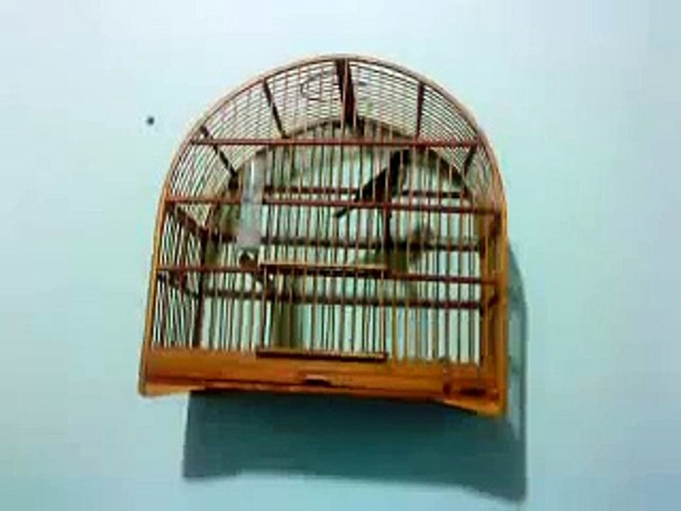 catatal do kelmer