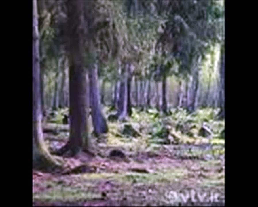 Lietuvos EKONOMIKA.wmv