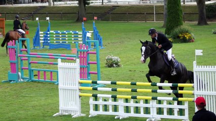 Ambre d'Elincourt (SF noir de 5 ans) au CIR de Compiègne le 30 7 2015