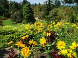 Travel BC - Queen Elizabeth Park - Vancouver, BC
