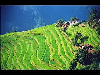 नेपालको छोरो - Gopal Yonjan- Nepal ko Chhoro