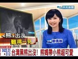 中天新聞》台灣黑熊出沒！ 熊媽帶小熊超可愛