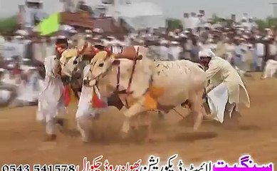 jalsa saien muhammadi mureed chakwal