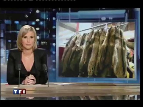 Association Stéphane Lamart - Lutte contre la fourrure de chiens et de chats