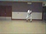 Kyokushin Karate Kata Pinan Ni