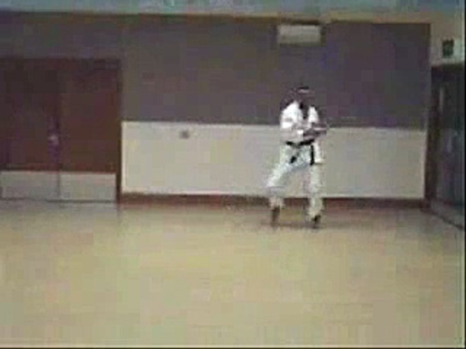 Kyokushin Karate Kata Pinan Ni