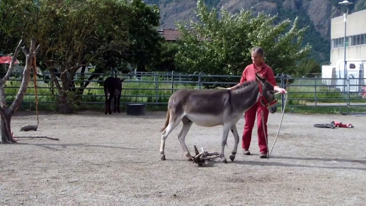 Exercice11 ++ Merlin