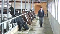 GEA Farm Technologies MIone robotic milking system for dairy cows