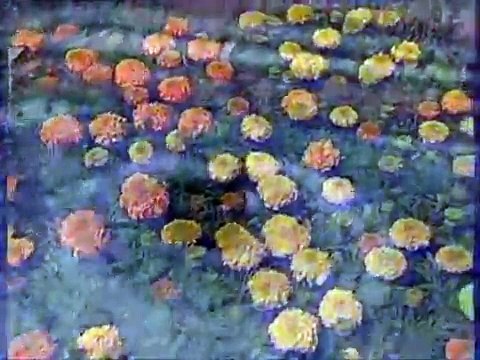 Ali ERCAN - Muhammed Aşkı ( orjinal klip )