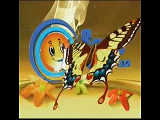 Deanna Robins interview on TVJ Smile Jamaica with Yendi Phillips Sept 13,2012