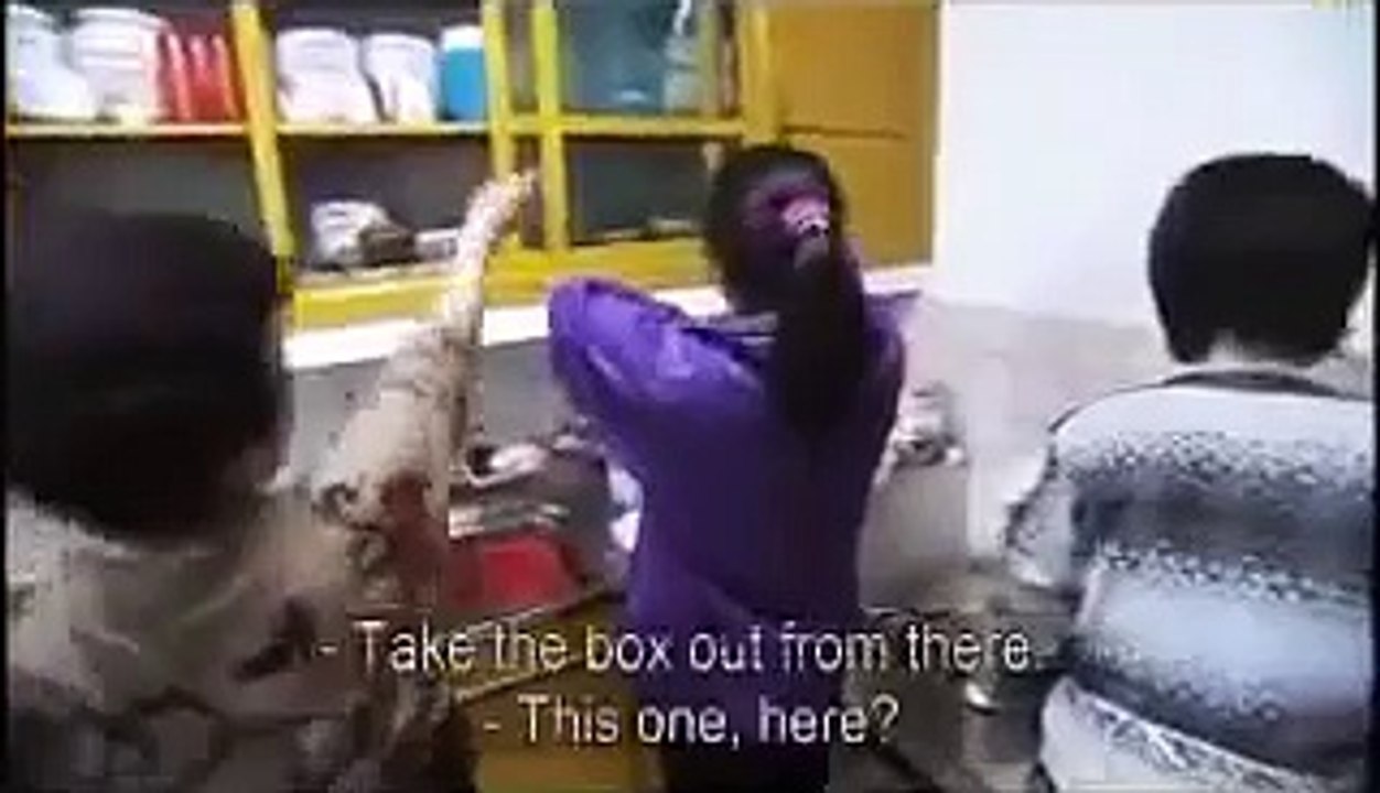Life in North Korea