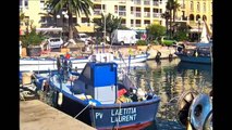 Les bateaux du port de pêche de Port-Vendres