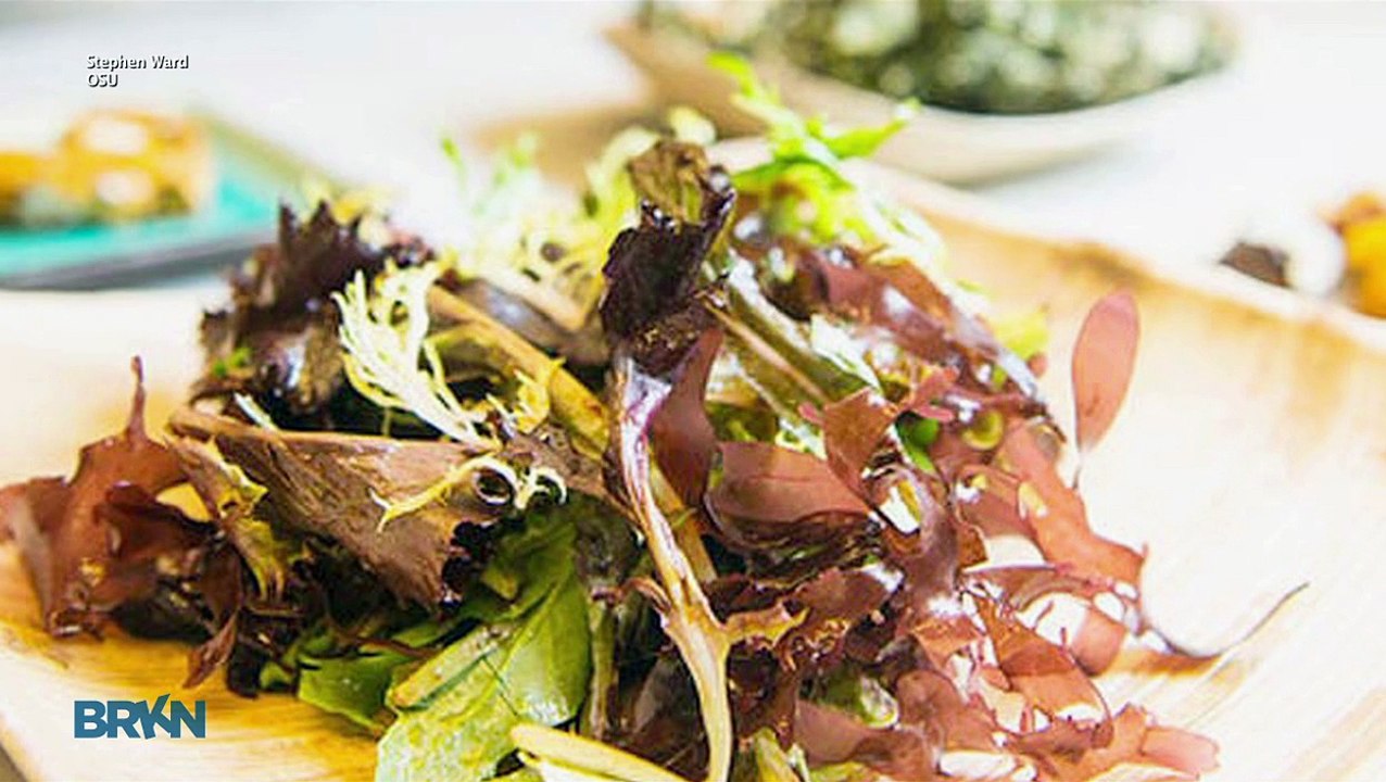 This Seaweed Tastes Like Bacon