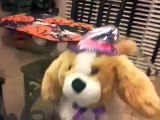 My talking dog (stuffed animal talking dog)