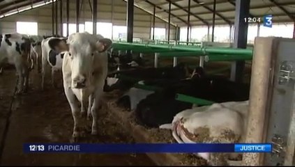 20150707-F3Pic-12-13-Drucat-Mille Vaches-Novissen déboutée