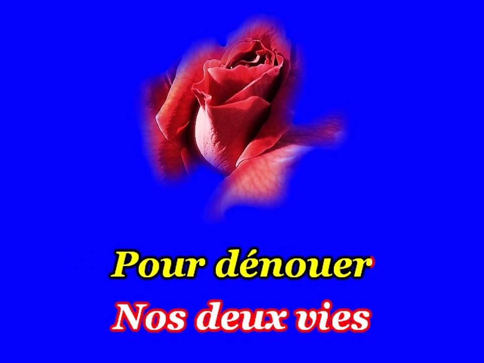 jimmy frey une rose pour sandra