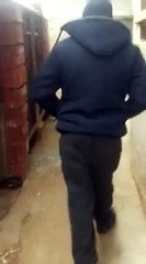 When a person is worse than a dog/Когда человек хуже чем собака