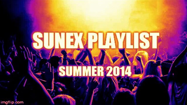 Party Remixes #3 (30 Minutes Of Music) - 2014 Sunex Remixes