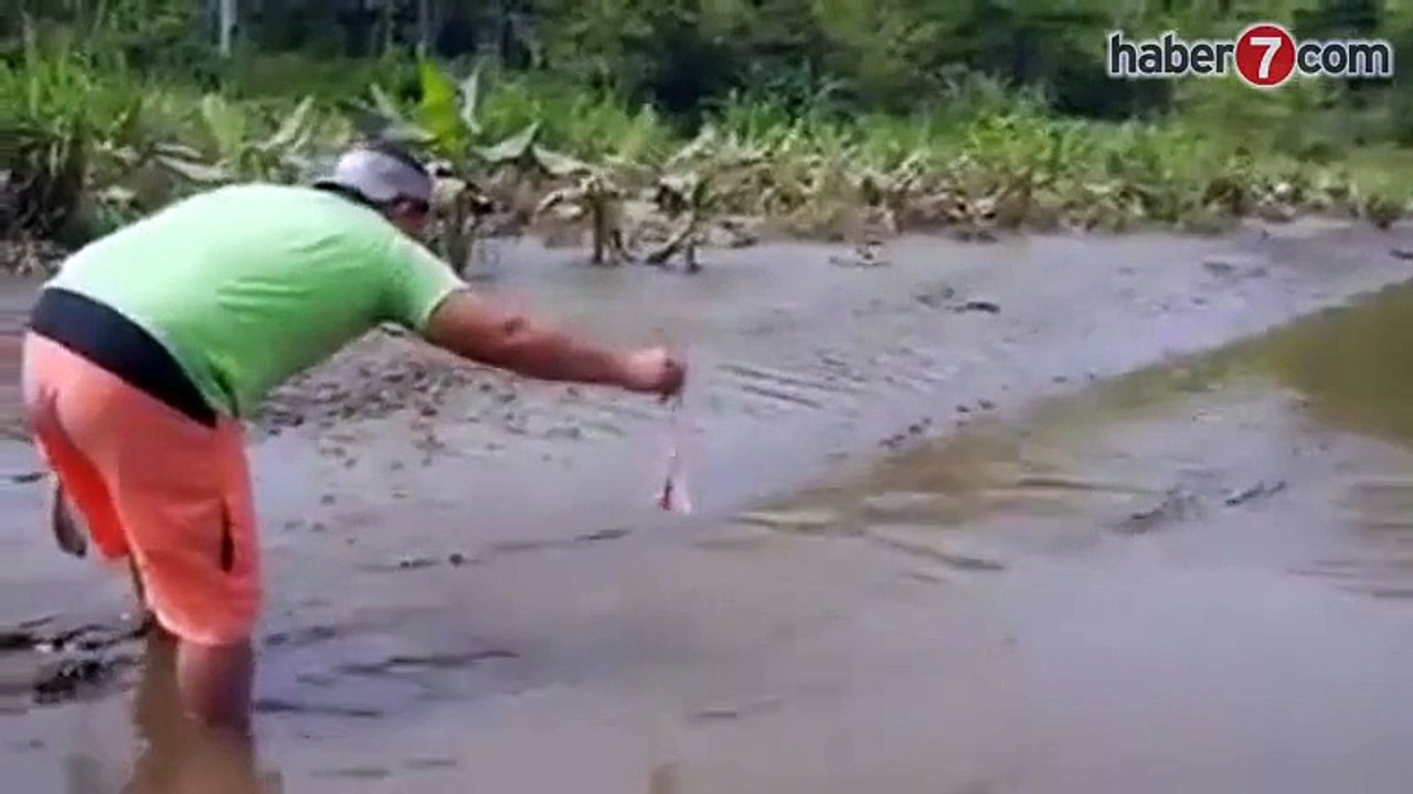 Köpek gibi timsah besleyen adam