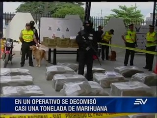Se confiscó más de una tonelada de marihuana en Esmeraldas