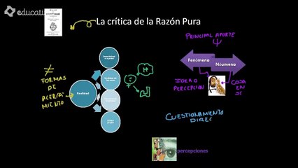 4.-Orígenes e historia de la psicología   Kant   El Positivismo