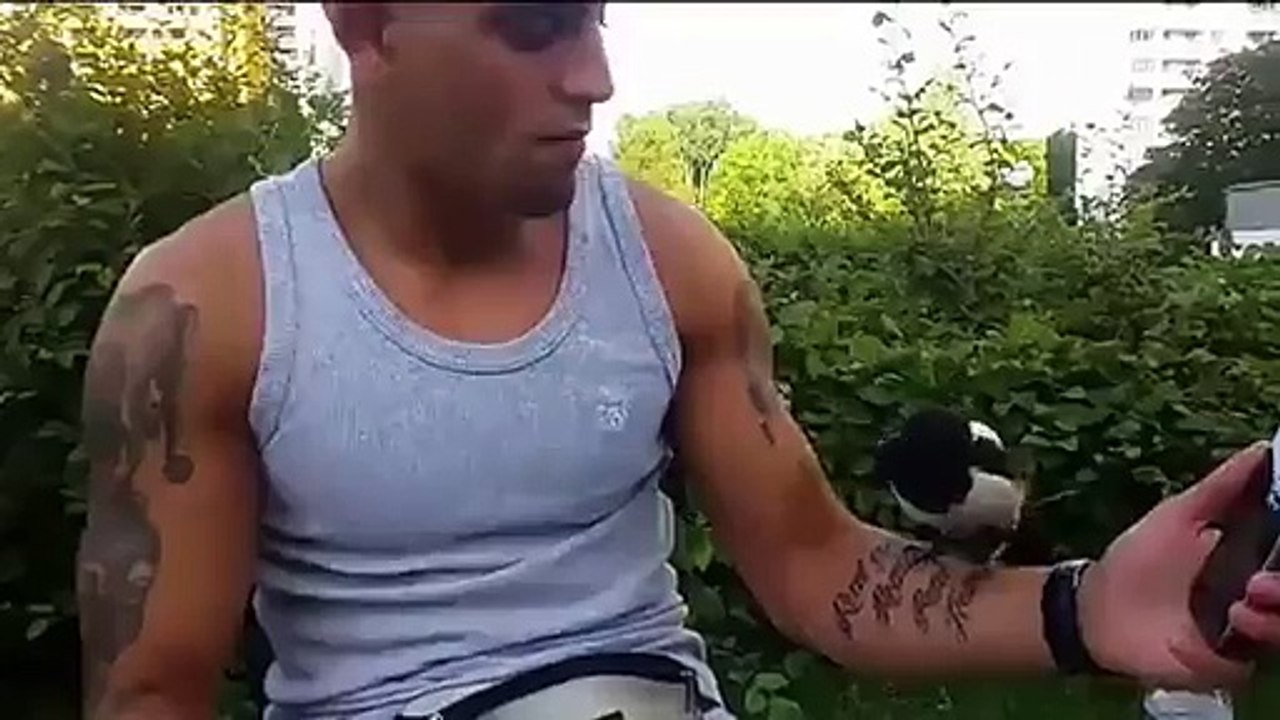 Se faire voler par un oiseau !