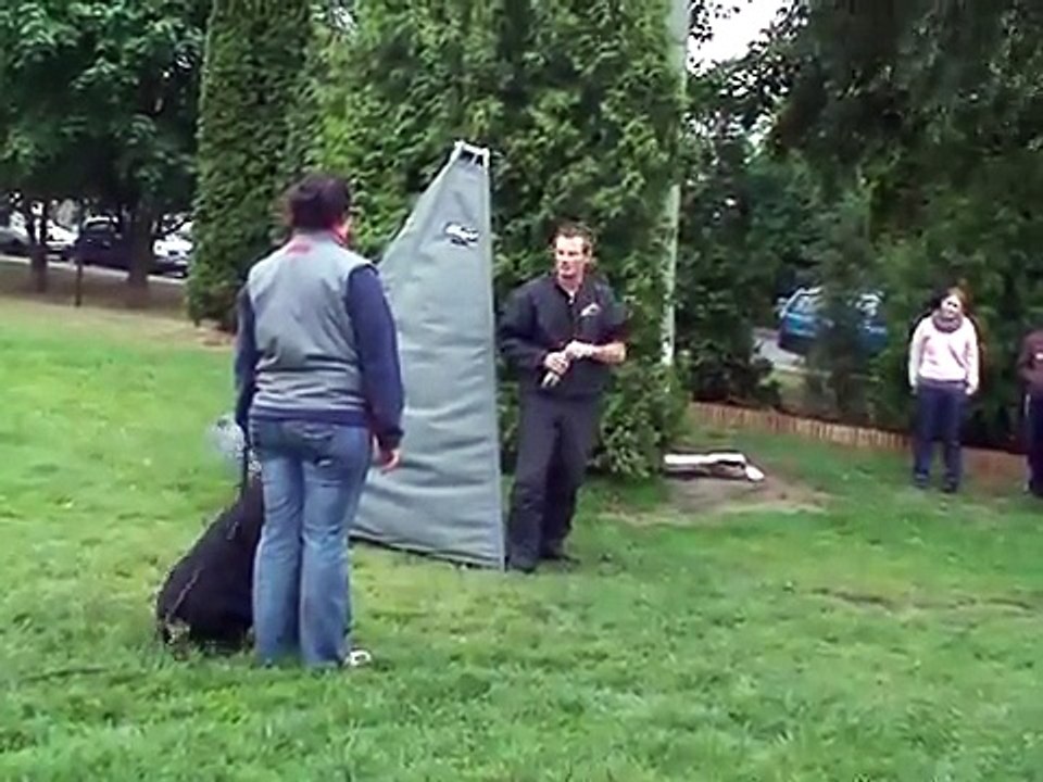 ÖV (D.Zsuzsa - Merlo)