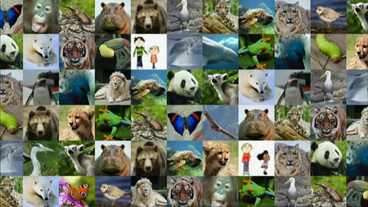 Charlie and Lola.S03E23.I Am Going to Save a Panda