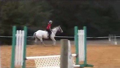 School Horses For Sale 1/29/2010