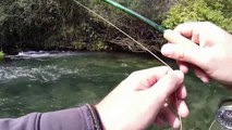 Pesca a mosca No-Kill fiume Nera