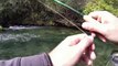 Pesca a mosca No-Kill fiume Nera