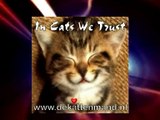 Kattenmand Dierenambulance/Dierenbescherming West-Alblasserwaard nla