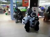 Course de motos panda dans un centre commercial !