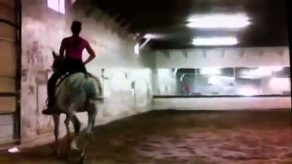 Doma Vaquera  Americano 2013