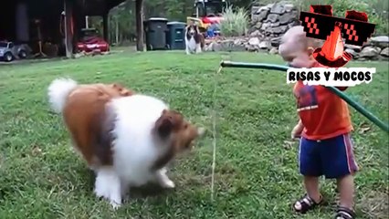 Bebes Y Animales Graciosos Bañándose Juntos - Videos De Risa De Animales
