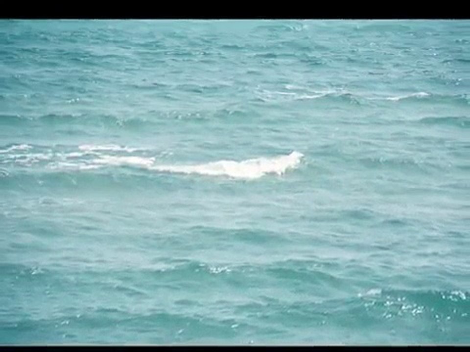 Salif Keita - Bobo / Kuzey Kıbrıs Magosa Sahili