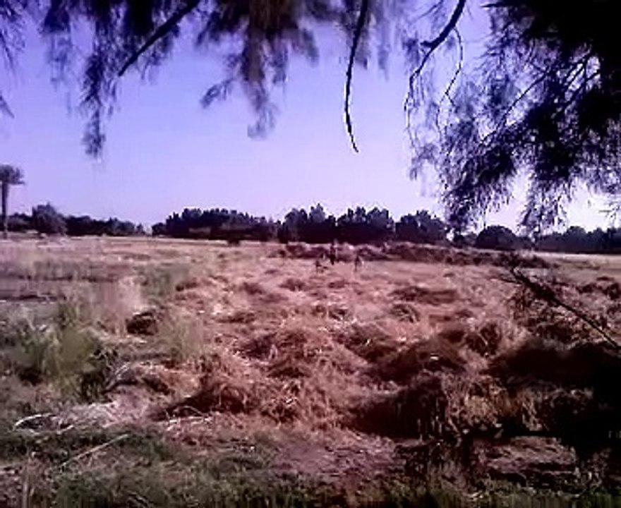 laachouria jorf errachidia :chak assakia alghaba