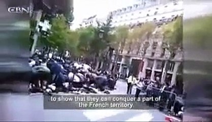 Mosque of Notre Dame de Paris