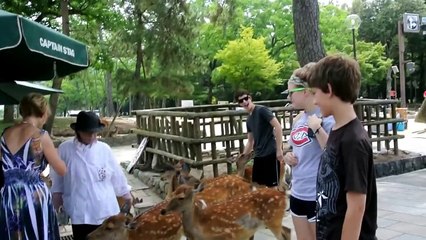 nara biting butts