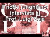 Il nodo junghiano: Amedeo Caruso intervista il Prof. Luigi Zoja
