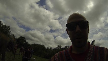 Thailande Chiang Mai Elephant (Juin 2015)