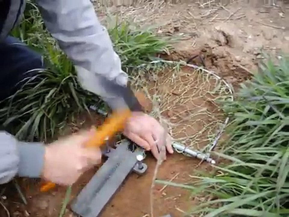 caza de perdiz con cepos www.salocaza.es